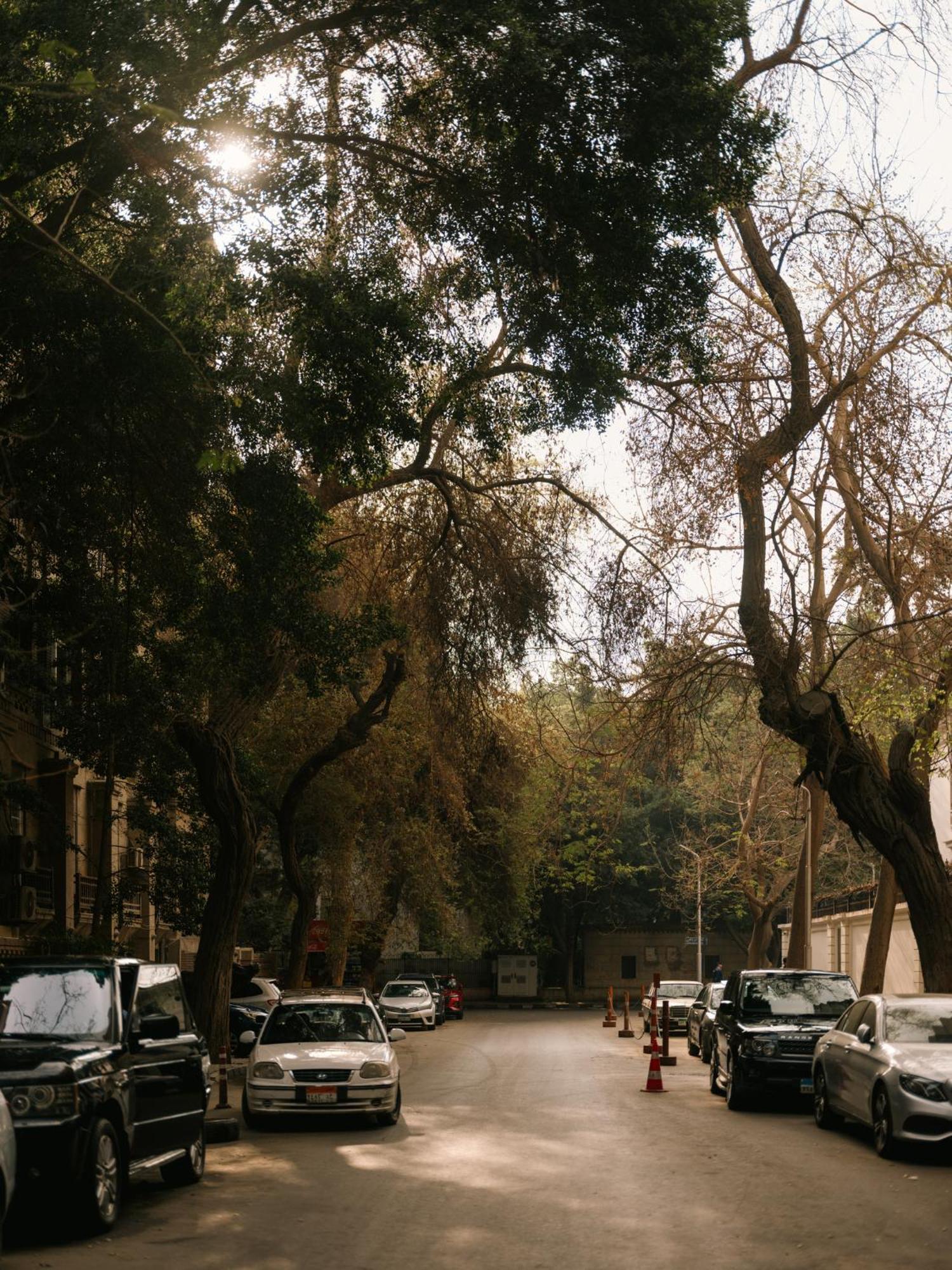 Brassbell Zamalek Diplomatic Zone Near Marriott *